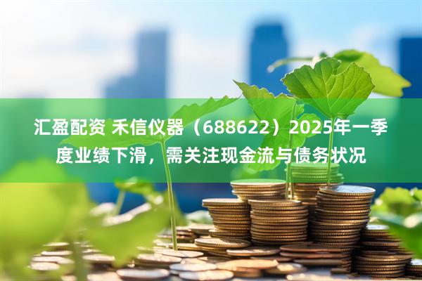 汇盈配资 禾信仪器（688622）2025年一季度业绩下滑，需关注现金流与债务状况
