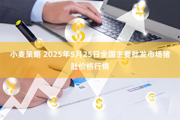 小麦策略 2025年5月25日全国主要批发市场猪肚价格行情