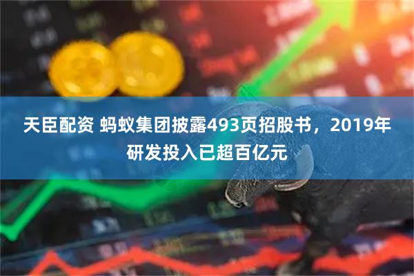 天臣配资 蚂蚁集团披露493页招股书，2019年研发投入已超百亿元