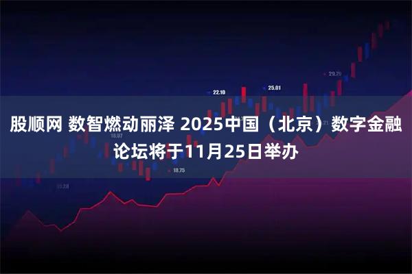 股顺网 数智燃动丽泽 2025中国（北京）数字金融论坛将于11月25日举办
