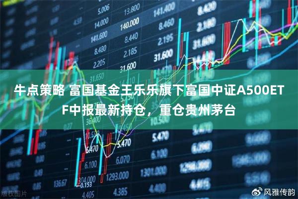 牛点策略 富国基金王乐乐旗下富国中证A500ETF中报最新持仓，重仓贵州茅台