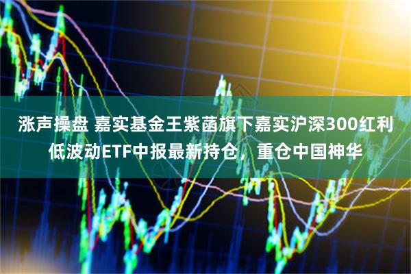 涨声操盘 嘉实基金王紫菡旗下嘉实沪深300红利低波动ETF中报最新持仓，重仓中国神华