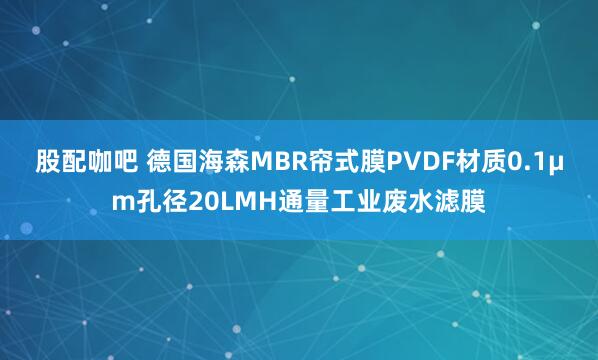 股配咖吧 德国海森MBR帘式膜PVDF材质0.1μm孔径20LMH通量工业废水滤膜